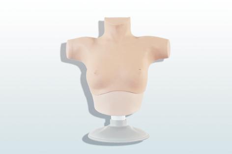 乳腺癌觸診、視診訓(xùn)練模型